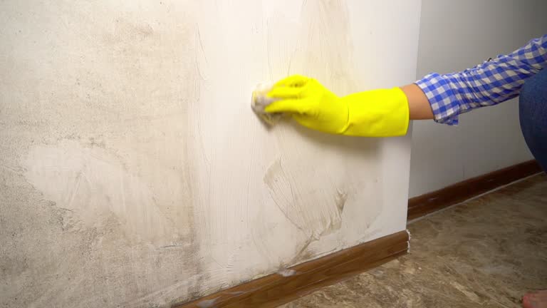 Mold Remediation for Vacation Homes in Plattsmouth, NE